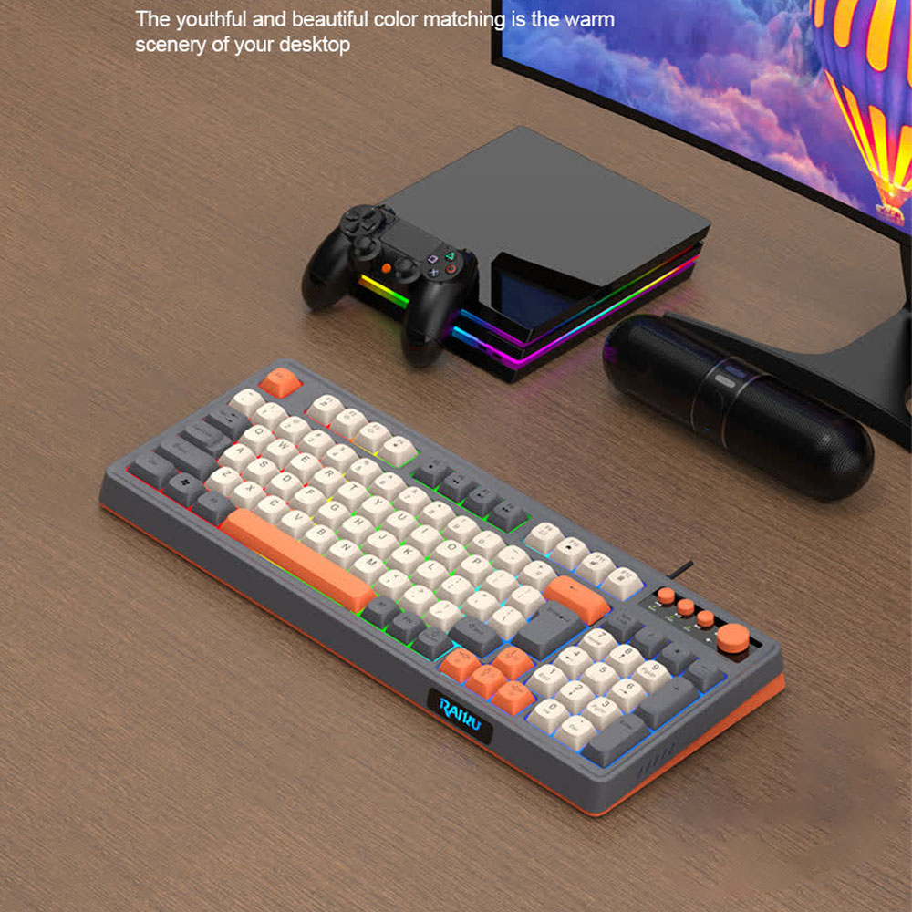 Backlight RAIKU K98 Keyboard R - đánh giá và giá Gaming Keyboard Half