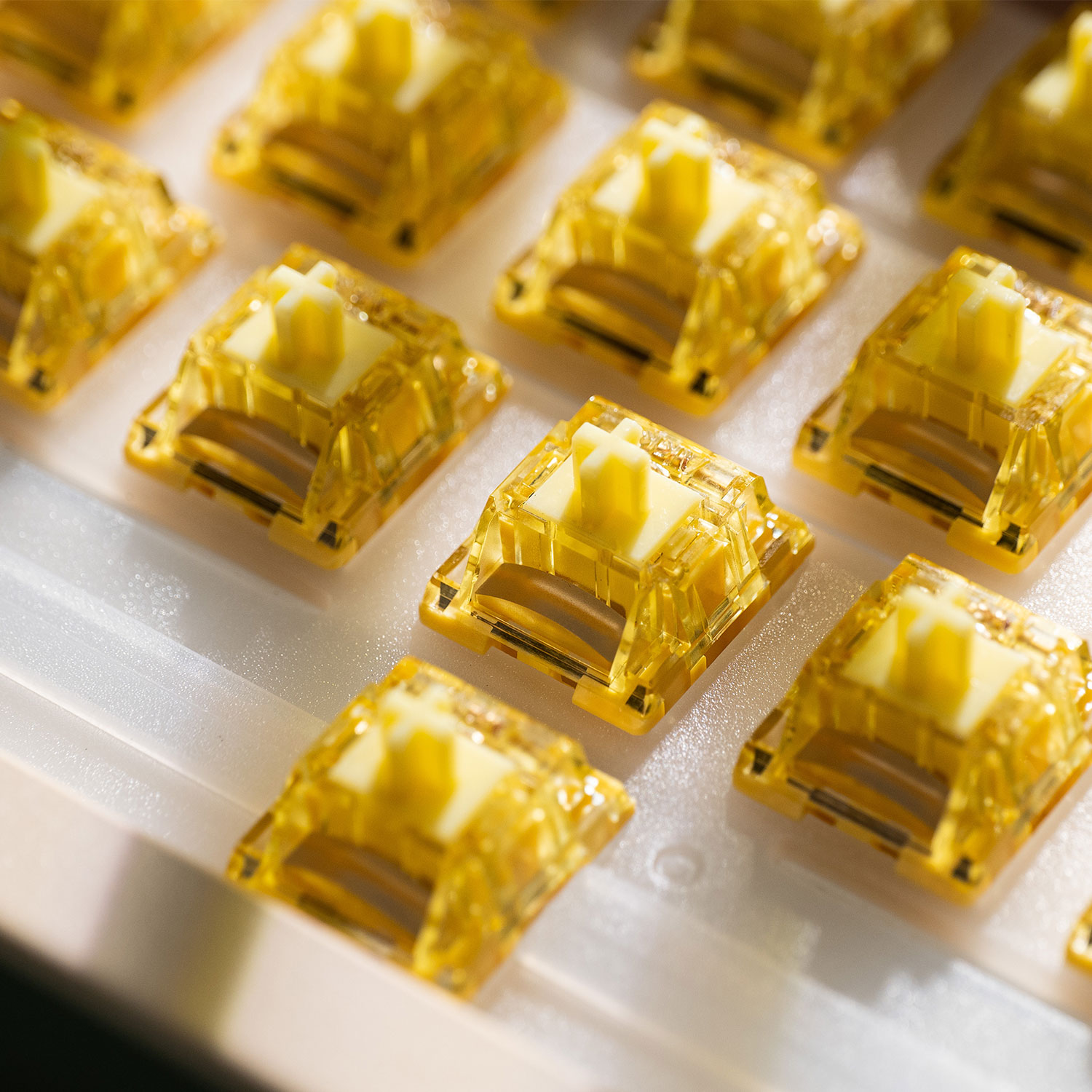 Akko V5 Pro Cream Yellow Switc - đánh giá và giá Keyboard Lube Kit